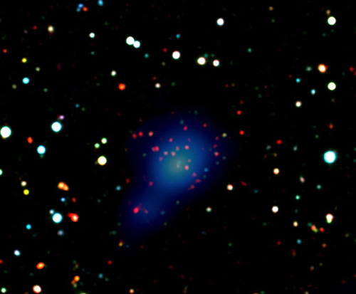 xmmxcs_2215-1734