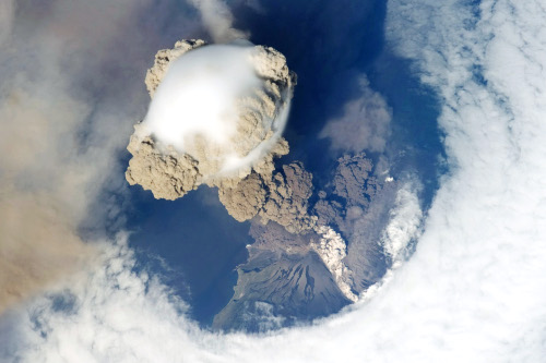 Foto: NASA Earth Observatory Foto: NASA Earth Observatory
