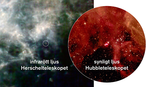 Bild: ESA/Herschel/PACS/SPIRE/NASA-JPL/Caltech/UCL/STScI och Hubble Heritage Team (AURA/STScI/NASA/ESA)