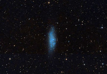 Astronomer på himlen, del 10: WLM-galaxen