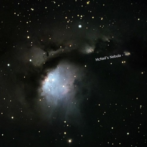 Bilden, tagen av McNeil själv domineras av M78 till vänster. McNeils nebulosa finns till höger i bild.