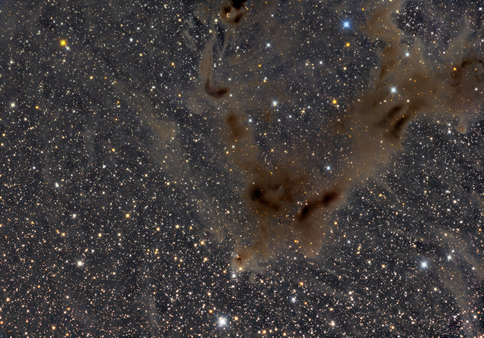Gyul'budaghians nebulosa hör hemma i ett område av stjärnbilden Cepheus som är genomlupet av mörka nebulosor. Den är mycket liten och framträder som en gul, kometformad puff, mitt i bildens nederkant. Bild: Thomas Davis, fotograferad med Astro Systeme Austria N12 f/3.5 astrograph.