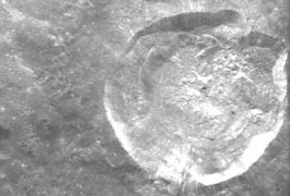 Bild: ESA/SPACE-X, Space Exploration Institute