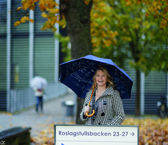 Sveriges bästa astronomiforskning 2014: big bang, Vintergatans hemligheter och mer