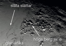 Pluto ger insikter om liv i rymden, tror svenska forskare