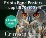 Annons: Crimson