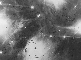 Grattis Aina Elvius, 100 år – läs om hennes liv med galaxerna