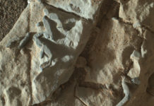 Curiositys förbryllande fynd på Mars – fossiler eller kristallspår? Bild: NASA / JPL-Caltech / MSSS / LANL / CNES / IRAP