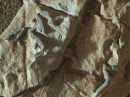 Curiositys förbryllande fynd på Mars – fossiler eller kristallspår? Bild: NASA / JPL-Caltech / MSSS / LANL / CNES / IRAP