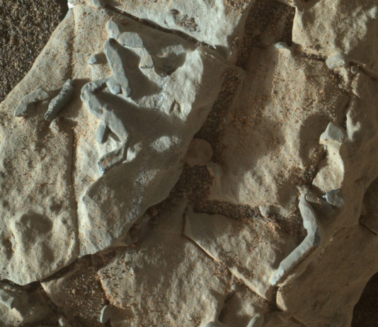 Curiositys förbryllande fynd på Mars – fossiler eller kristallspår? Bild: NASA / JPL-Caltech / MSSS / LANL / CNES / IRAP