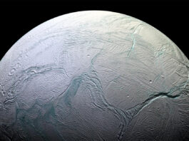 Solsystemets himlakroppar: Enceladus Enceladus. Bild: NASA/JPL-Caltech