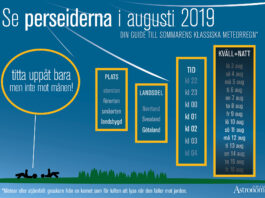 Perseiderna 2019: ”titta inte på månen!” är bästa tipset inför årets stjärnfall