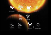 Sveriges exoplanet: upptäckaren om nya namnen Aniara och Isagel