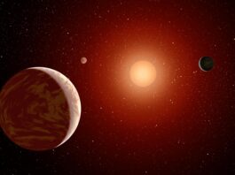 Proxima Centauri b – beboelig eller inte? Proxima b (illustration). Bild: NASA/JPL-Caltech