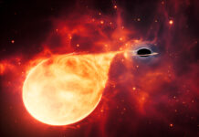 Nya bevis: Svarta hål finns också i mellanstorlek Medeltungt svart hål och stjärna: Illustration ESA/Hubble, M. Kornmesser