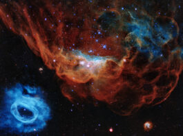 Hubble firar 30 år med kosmiskt korallrev