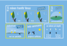 Midsommar, midnattssol och månen framför Venus: vår guide till sommaren med solen och månen Solen och månen sommaren 2020 Grafik: Populär Astronomi