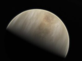 Möjliga tecken på liv funna i Venus atmosfär