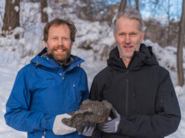 Höstens meteorit är funnen!
