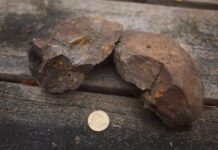 Mikroskopiskt mineral gav bevis för ett miljontals år gammalt meteoritnedslag Stenar från sjön Mien som innehåller mineralet zirkon. Detta är stenarna som Josefin Martell använt i sin studie och plockat ur mikrometersmå prover från. Bild: Josefin Martell