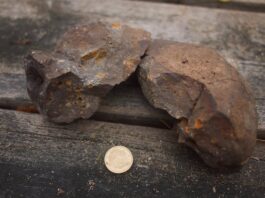 Mikroskopiskt mineral gav bevis för ett miljontals år gammalt meteoritnedslag Stenar från sjön Mien som innehåller mineralet zirkon. Detta är stenarna som Josefin Martell använt i sin studie och plockat ur mikrometersmå prover från. Bild: Josefin Martell
