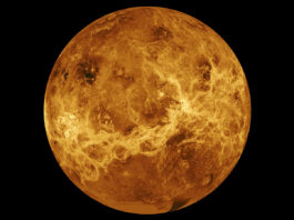 Grönt ljus för två sonder till Venus Bild av Venus från Magellan sonden och Pioneer Venus Orbiter. Bildkälla: NASA/JPL-Caltech