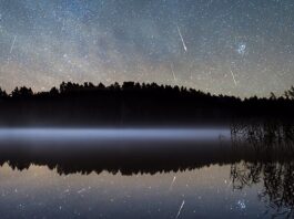 Perseiderna 2021: Sensommarens stora stjärnfall syns bäst runt 12 augusti Perseider. Bild: Wikimedia Commons (beskuren)