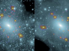 Sverige med i jakten på mörk materia med nytt rymdteleskop Simulering av galaxdistribution beroende på om mörk materia består av het (vänster) eller kall (höger) mörk materia. Bild: Arrakhis mission proposal, ESA.