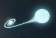 Ovanlig supernova detekterad för första gången Konstnärlig illustration av stjärnparet, med den kompakta vita dvärgen (till vänster) som drar till sig material från sin granne. Källa: Adam Makarenko/W. M. Keck Observatory