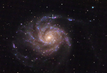 Supernovan i Vindsnurregalaxen skapade tumult och sömnlösa nätter Supernovan SN2023ixf i Vindsnurregalaxen (M101) en dag efter upptäckten. Bilden har tagits med en 20-tums reflektor vid OST-observatoriet i Potsdam (Tyskland) natten till den 20 maj 2023 i R-, V- och B-band. Bildkälla: Florian Rünger, https://en.wikipedia.org/wiki/Pinwheel_Galaxy#/media/File:SN2023ixf_in_Messier_101.png