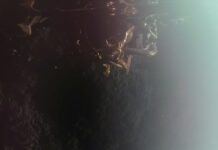 Blått spöke förbereder för en framtid på månen