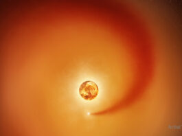 Svallvågor från möjlig kompanjon till Betelgeuse