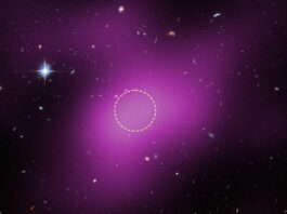 Kosmiskt stjärnlöst moln kastar nytt ljus över galaxernas barndom Radioteleskopet VLAs vy av den kalla vätgasen som Cloud-9 består av, här i rosa. I bakgrunden syns Hubbleteleskopets bild av området där Cloud-9 har upptäckts, med galazer och stjärnor i bakgrunden. Bildkälla: NASA, ESA, VLA, Gagandeep Anand (STScI), Alejandro Benitez-Llambay (University of Milano-Bicocca); Joseph DePasquale (STScI)