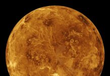Svenskt instrument till Venus