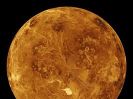 Svenskt instrument till Venus