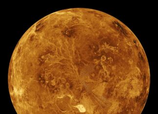 Svenskt instrument till Venus
