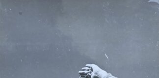 ”Den svarta solen” – svenska solförmörkelsen 1954 i nytt ljus av Olle Hammarlund